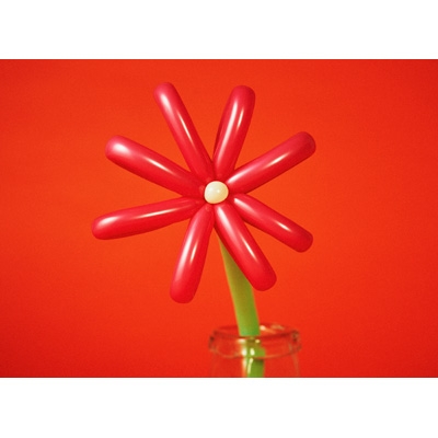 MACAROCK'N LIVE-1 【初回生産限定盤】(2DVD) : マカロニえんぴつ