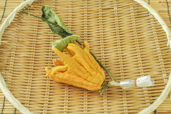 仏手柑 【業務用食材の仕入れなら八面六臂】