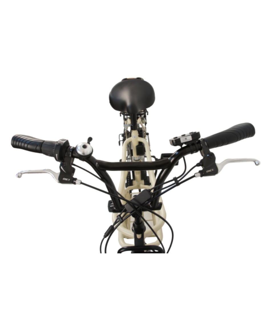 送料無料】 電動自転車 1年保証付き 電動アシストeカーゴバイク 20