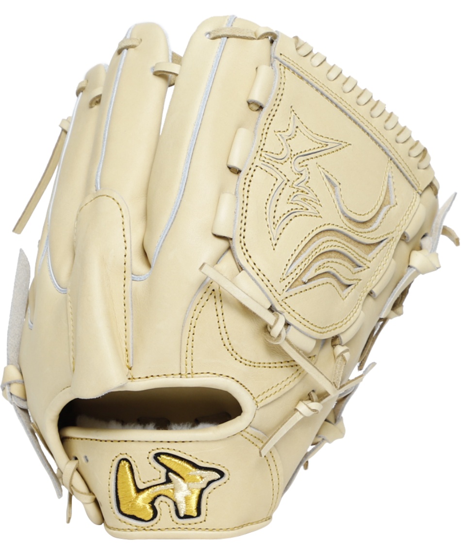 ワールドペガサス(WORLD PEGASUS) 野球 硬式グローブ 投手用 硬式用G