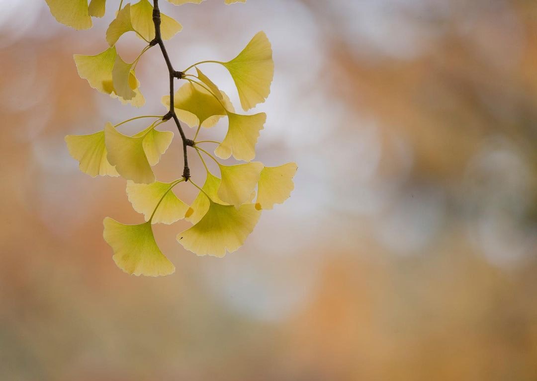 Nikon D610を徹底解説。作例からおすすめレンズまで | ONE SCENE（ワン