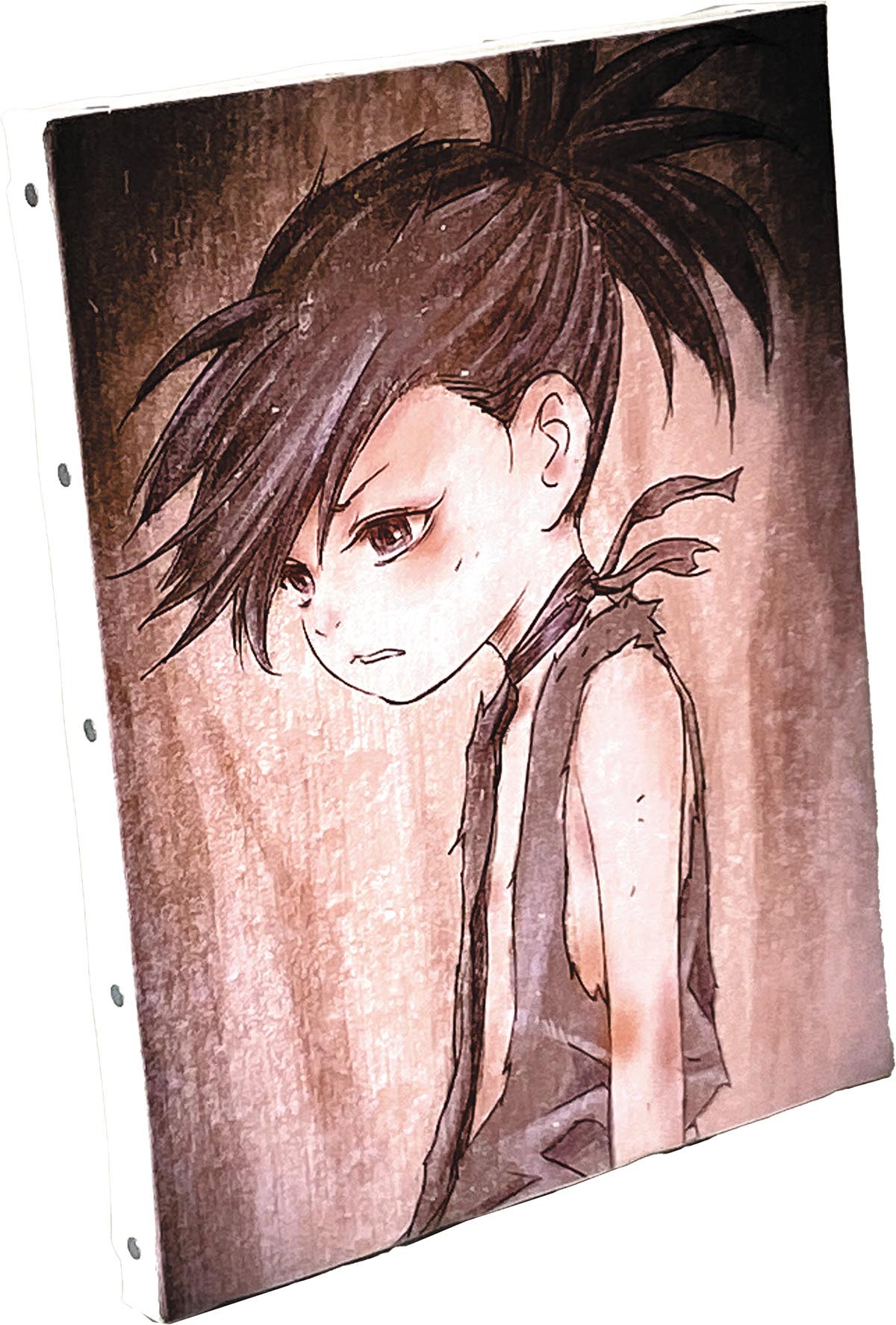 2655］ 浅田弘幸 キャンバスアート「どろろ」