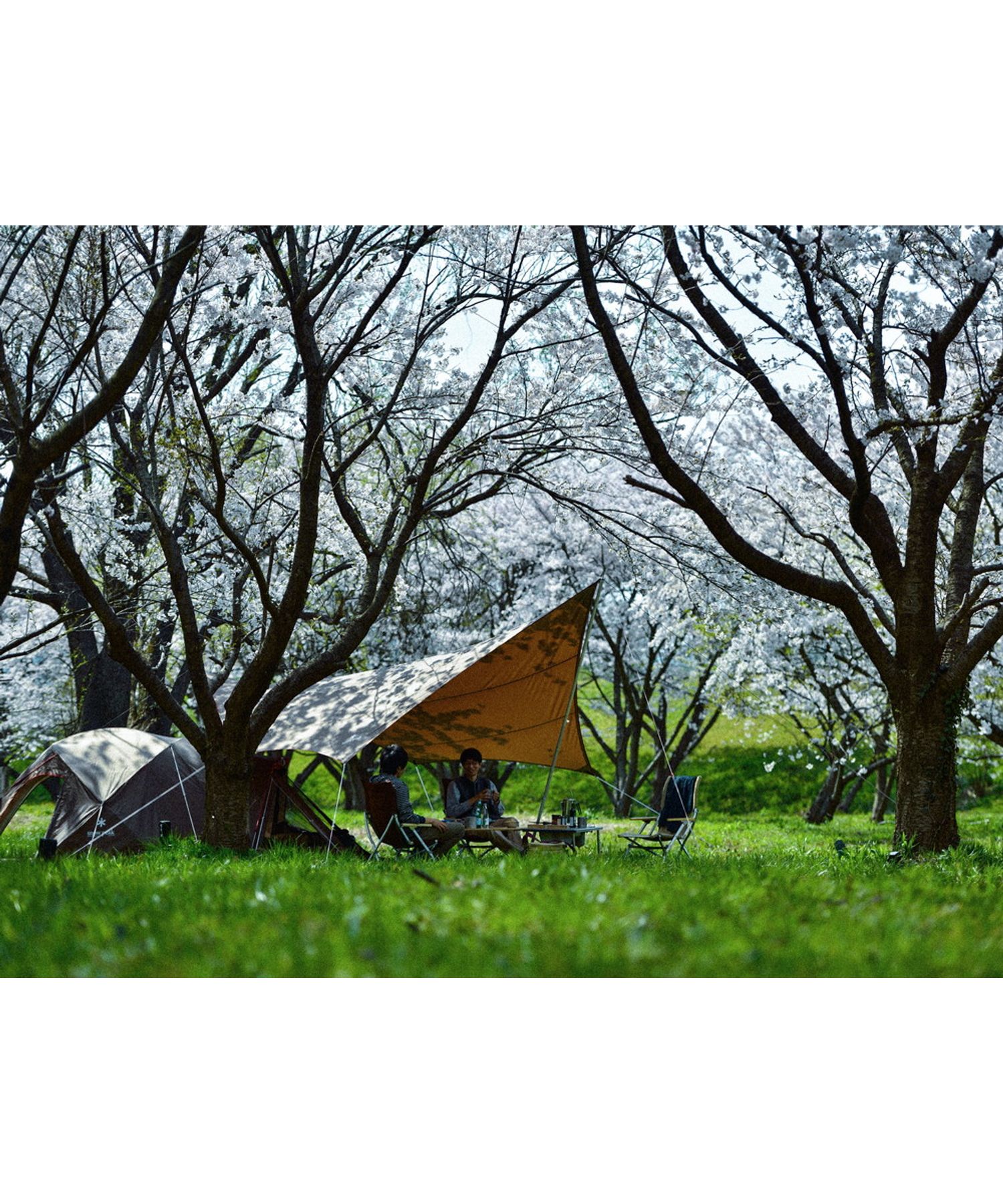 HDタープ“シールド”・ヘキサ（L）Proセット [6人用]| スノーピーク