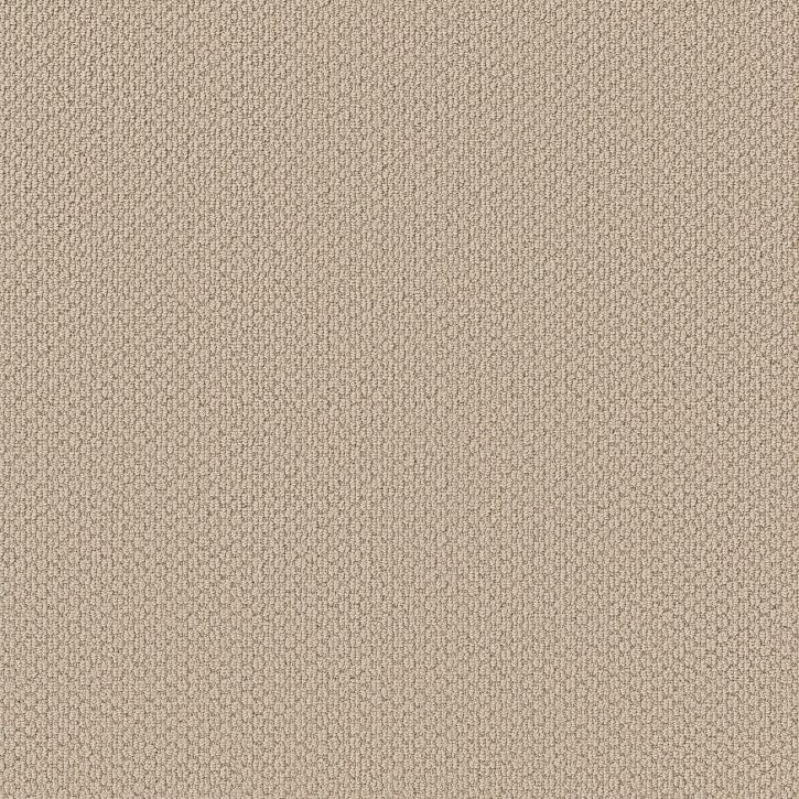 Rancho Hill II ZZB40 00130 | Shaw Builder Flooring