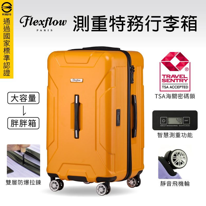 大黃蜂南特系列29型