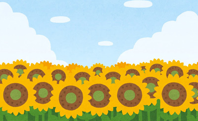 SP 兄に芽生えた恋心「浅葉 こなみ」(サイン入り) 買取 | 恋がさくころ