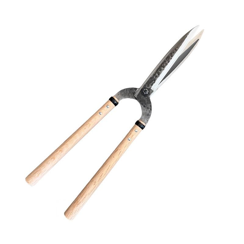 92753526_o2.jpg?cmsp_timestamp