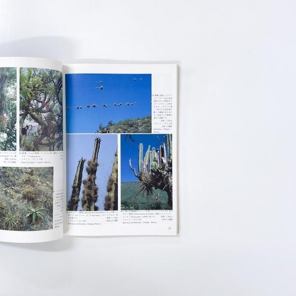 ティランジア・ハンドブック - ノースブックセンター販売 《カタログ数