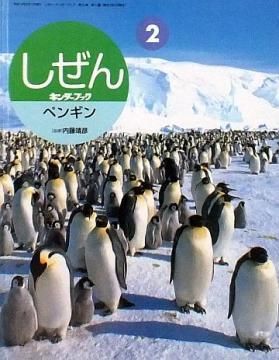 ペンギン （キンダーブックしぜん） 【状態：C（やや悪い）】 - 絵本