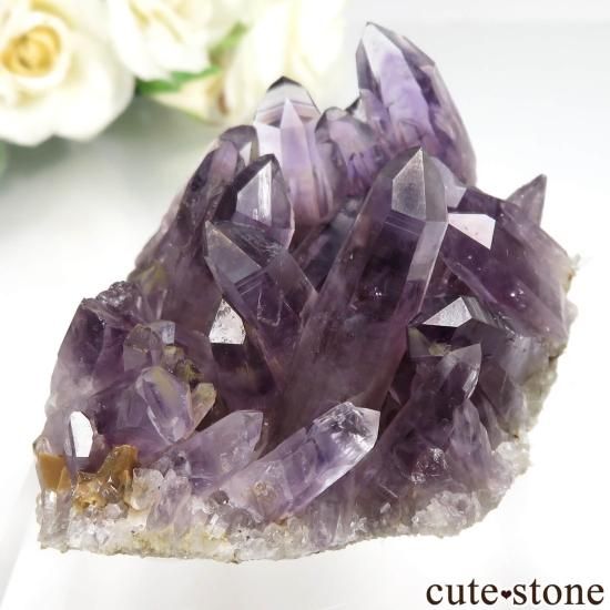 メキシコ ゲレロ産 アメジストの原石（クラスター） No.24 - cute stone -