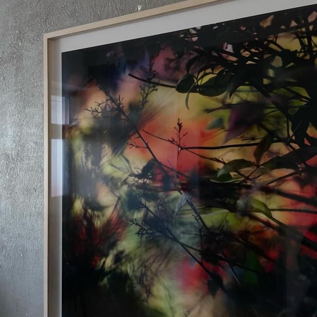 SIGNED〉Terri Weifenbach 