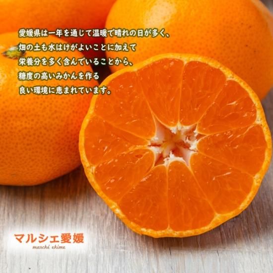 みかん 2キロ サイズ混合 箱買い ミカン 家庭用 良品 愛媛 2kg