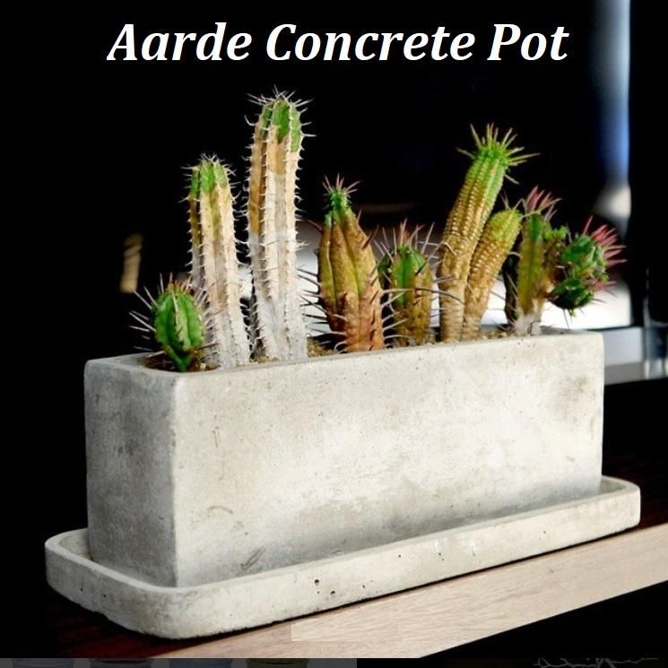 植木鉢 長方形 セメント コンクリ長角M＜ 30cm x 8cm 底穴あり 受け皿