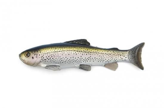 Nate's Baits/ Line Through Trout - Knoxville Online Shop