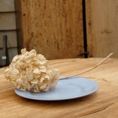 WOODS WARE - PIVOTE ピボーテ | アンティーク家具・雑貨の