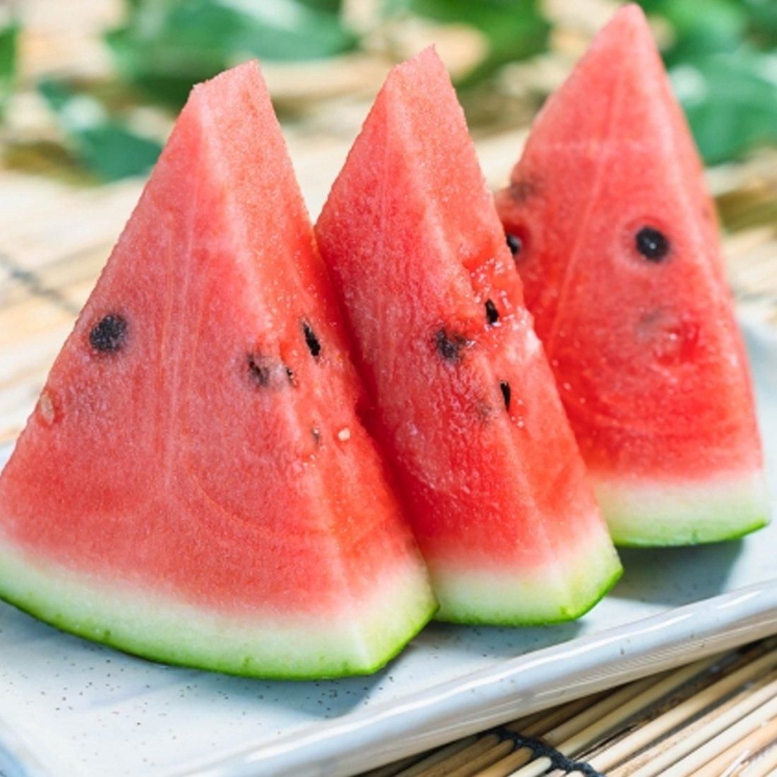 木佐木野スイカ | 鹿児島の特産品 - 【かごしまぐるり】鹿児島の名物