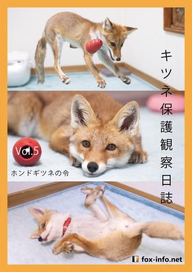 キツネ写真集「キツネ保護観察日誌」 Vol.5 -ホンドギツネの令- | 北
