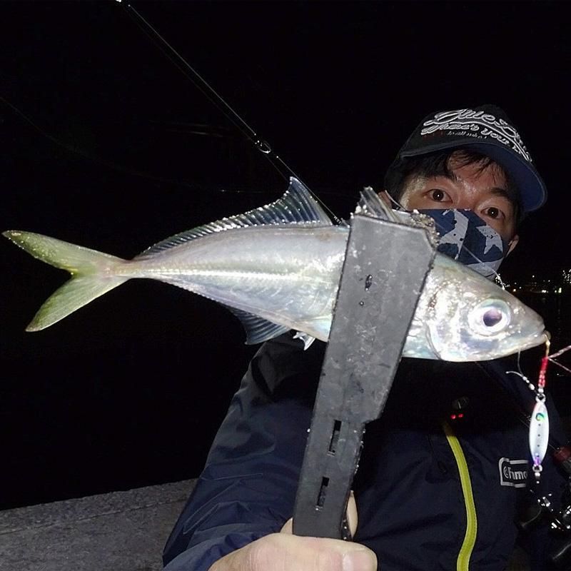 beams inte7.9ul（ビームスインテ7.9UL）| ライトロックフィッシュ