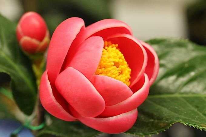 157238776.jpg?cmsp_timestamp=