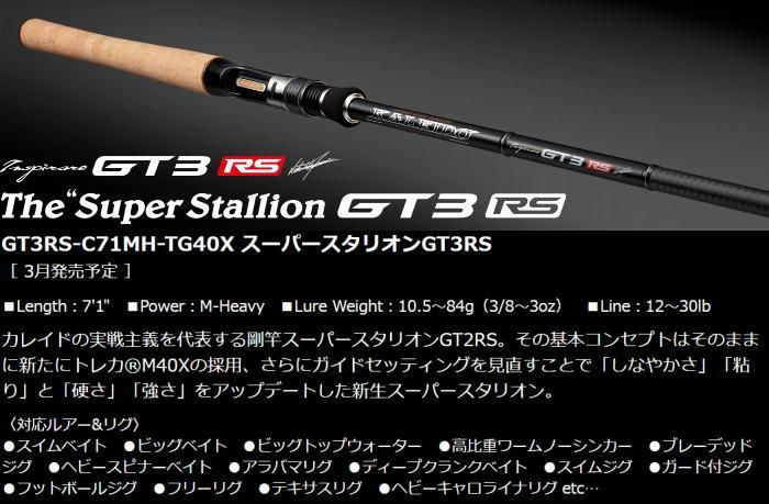 エバーグリーン カレイド インスピラーレ 「スーパースタリオンGT3RS