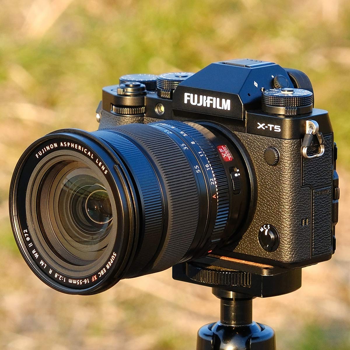 XF16-55mmF2.8 R LM WR II」の人気商品一覧 | 安い商品を通販サイト