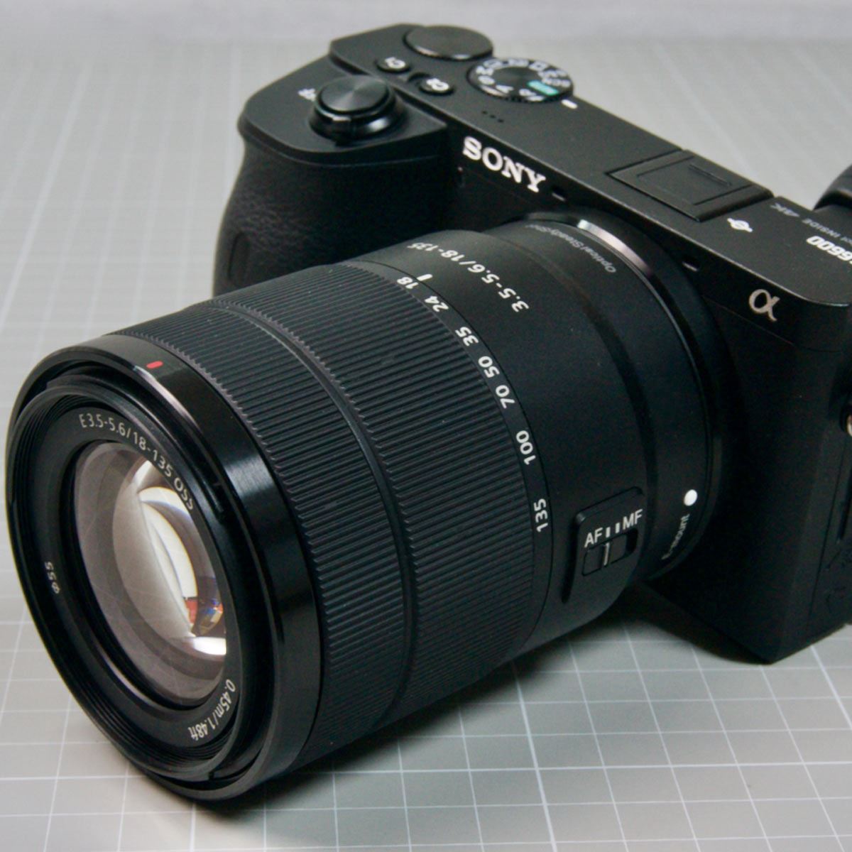 汎用性とコスパの高さを誇るソニー「α6600」の動画性能をチェック