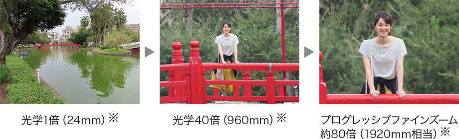 CANON PowerShot SX740 HS [シルバー] 価格比較 - 価格.com