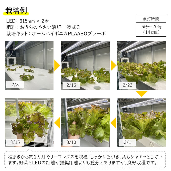 植物育成ライト LED GG 新型おやさい ライト 1200mm 【1-4本専用