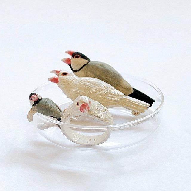 CP送料込】「リング / うとうと文鳥リング / 11号(固定)」Palnart Poc