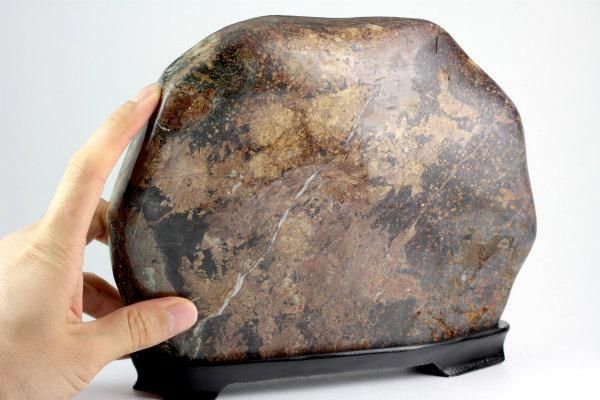 根尾谷産 菊花石 置石 2.5kg 【国産】｜天然石 原石 通販 キラリ石