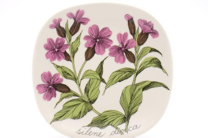 ARABIA/Botanica silene dioica(レッドキャンピオン)/ウォールプレート