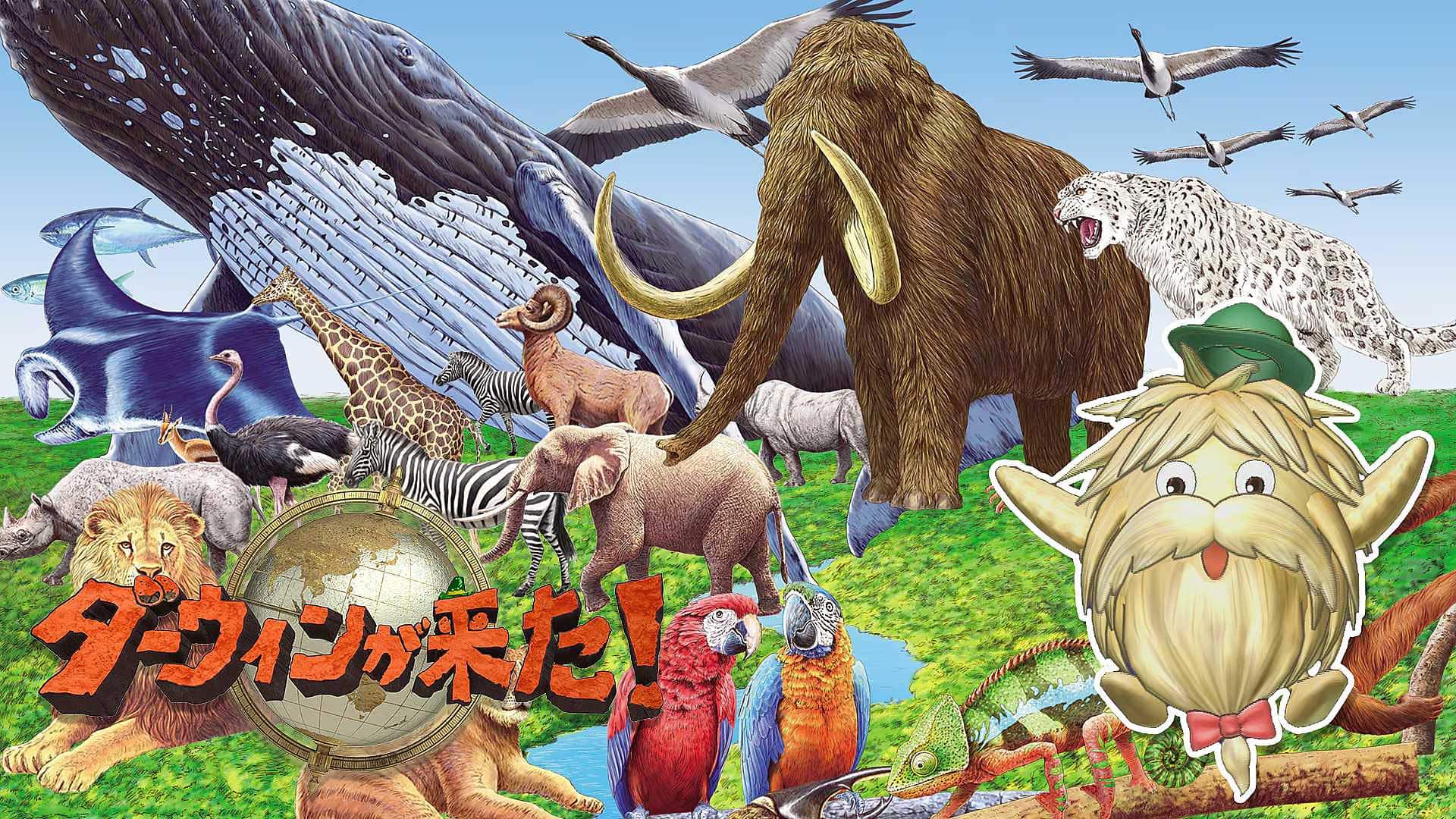 ダーウィンが来た!特選映像集 | NHK