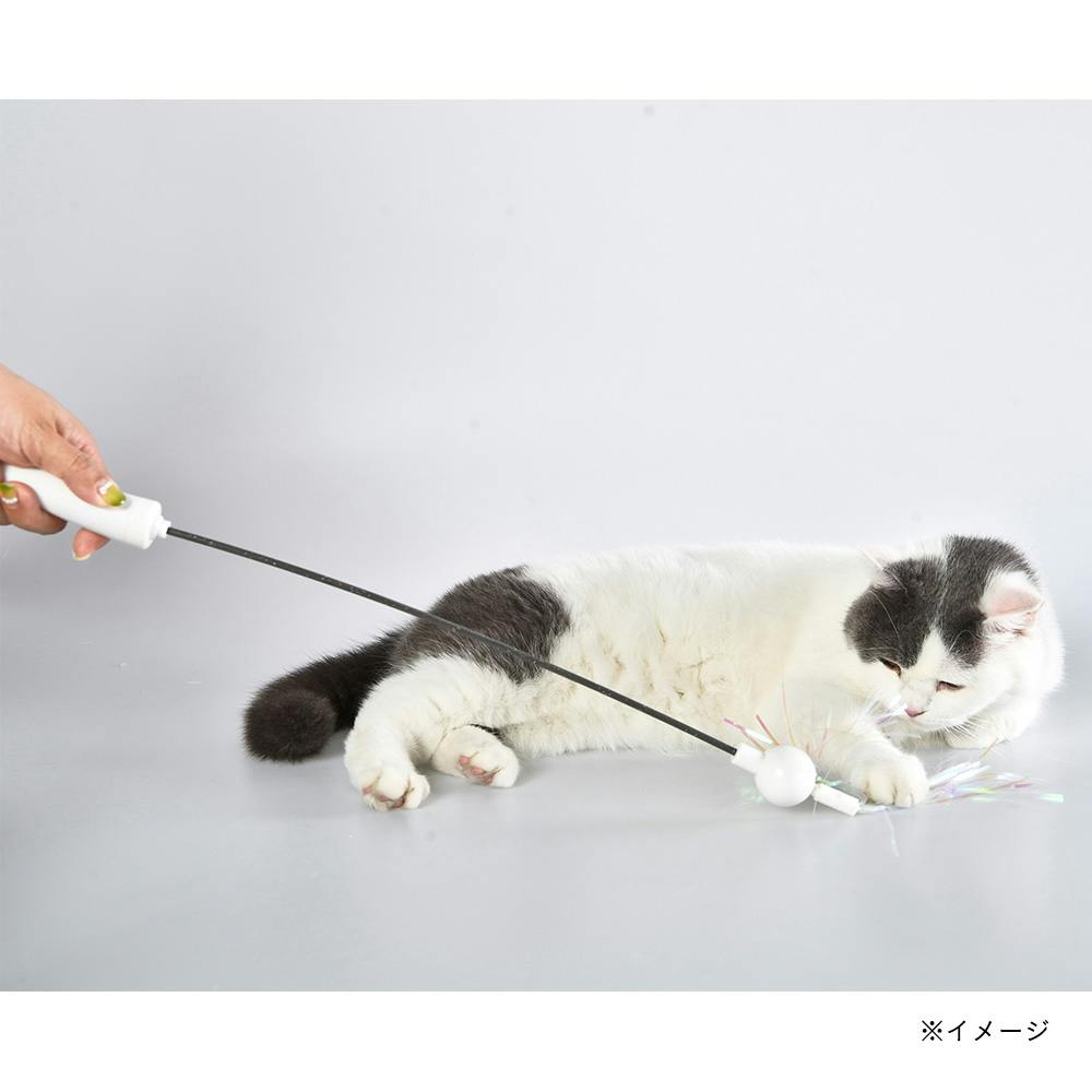 KIRA交換できる電動オートスピンねこじゃらし | ペット用品（猫） 通販
