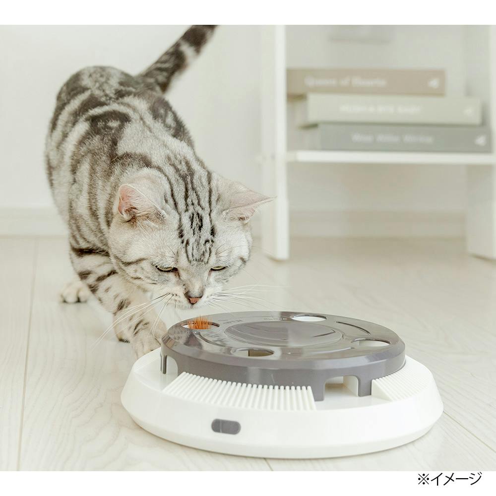 KIRA電動ポップアウトねこじゃらし | ペット用品（猫） 通販