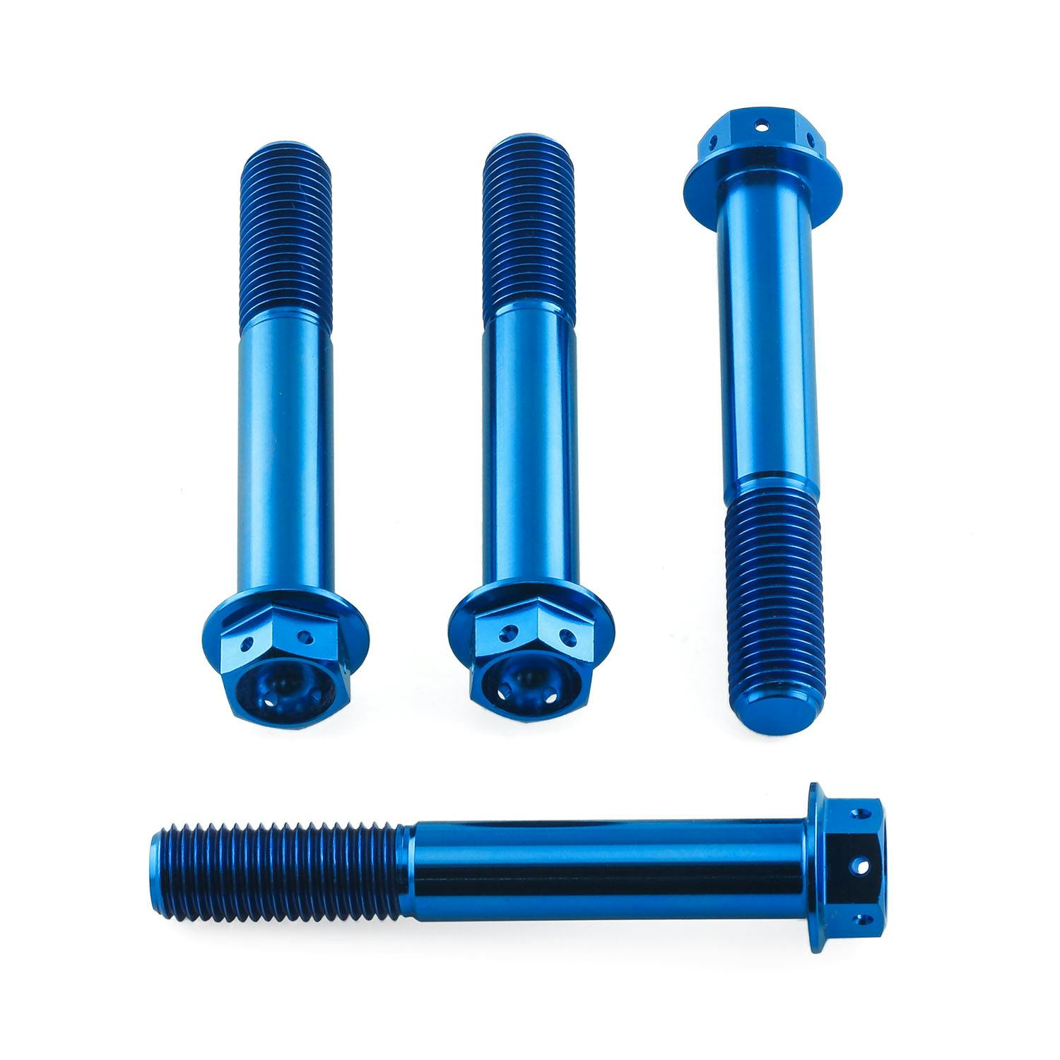 チタン ブレーキキャリパーマウントボルトキット レーススペック 長さ