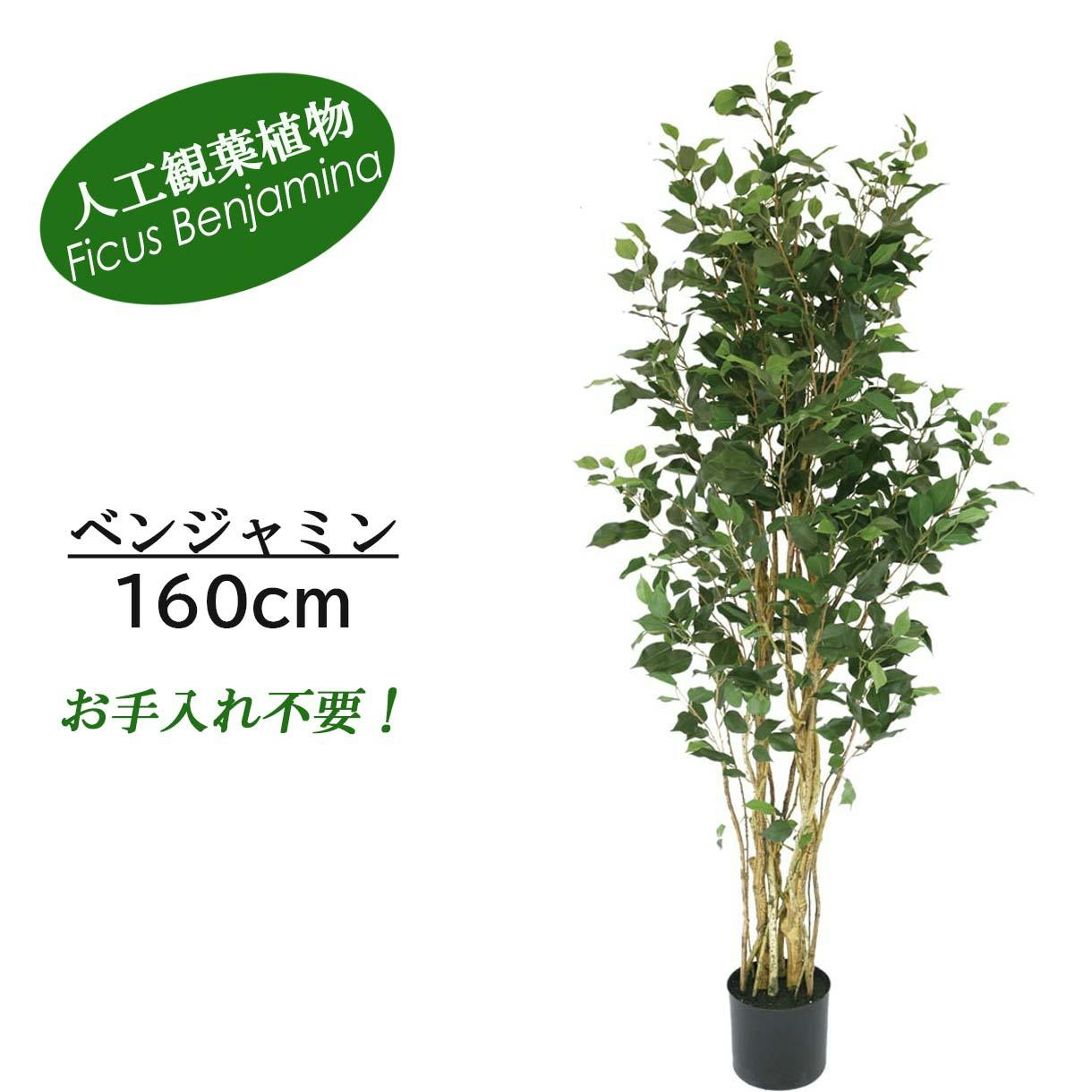 GREEN COFFRET ベンジャミン160cm 人工観葉植物 フェイクグリーン