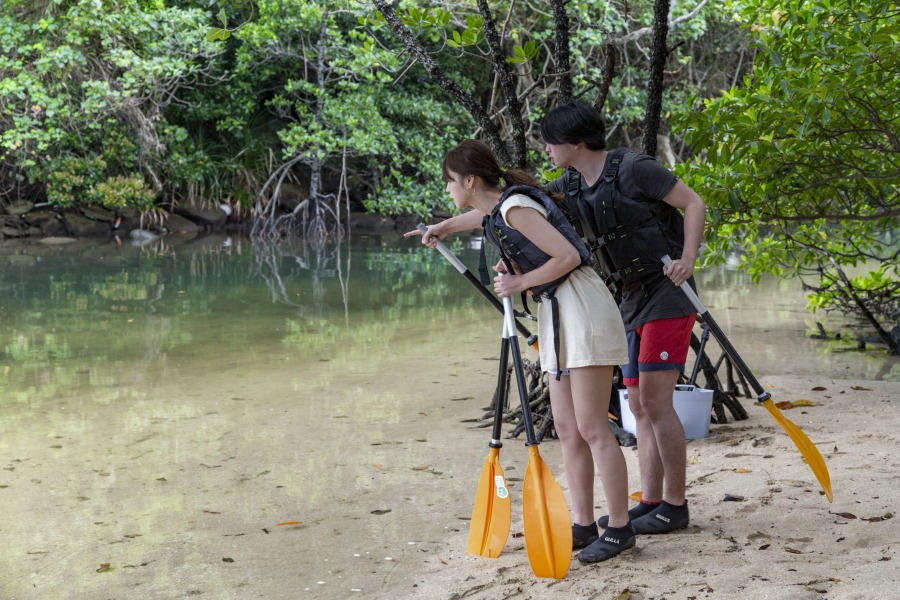 ☆冬の特別SALE【西表島】世界自然遺産西表島のド定番！SUPで秘境
