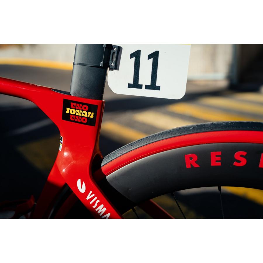 Vittoria（ヴィットリア） CORSA PRO TLR Red Sidewall Limited