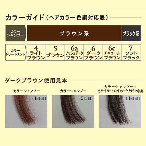 テンスター カラーシャンプー ダークブラウン 300mL : cocoatta - 通販