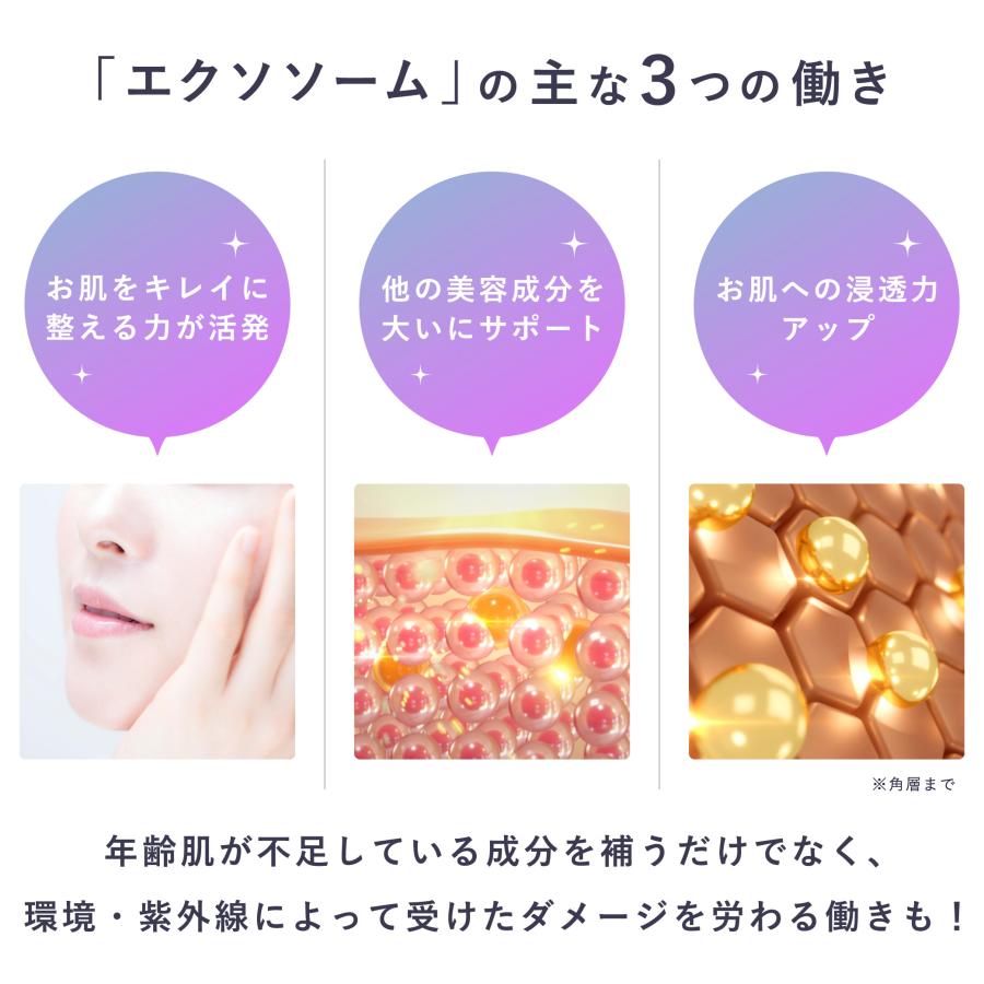 ヒト幹細胞 美容液 エクソソーム 高濃度 エイジングケア セルコード