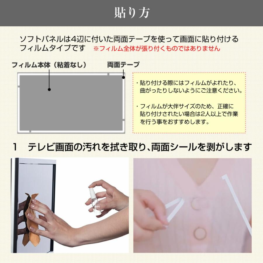 メディアフューチャー 東芝 REGZA 55Z870L [55インチ] 液晶テレビ保護