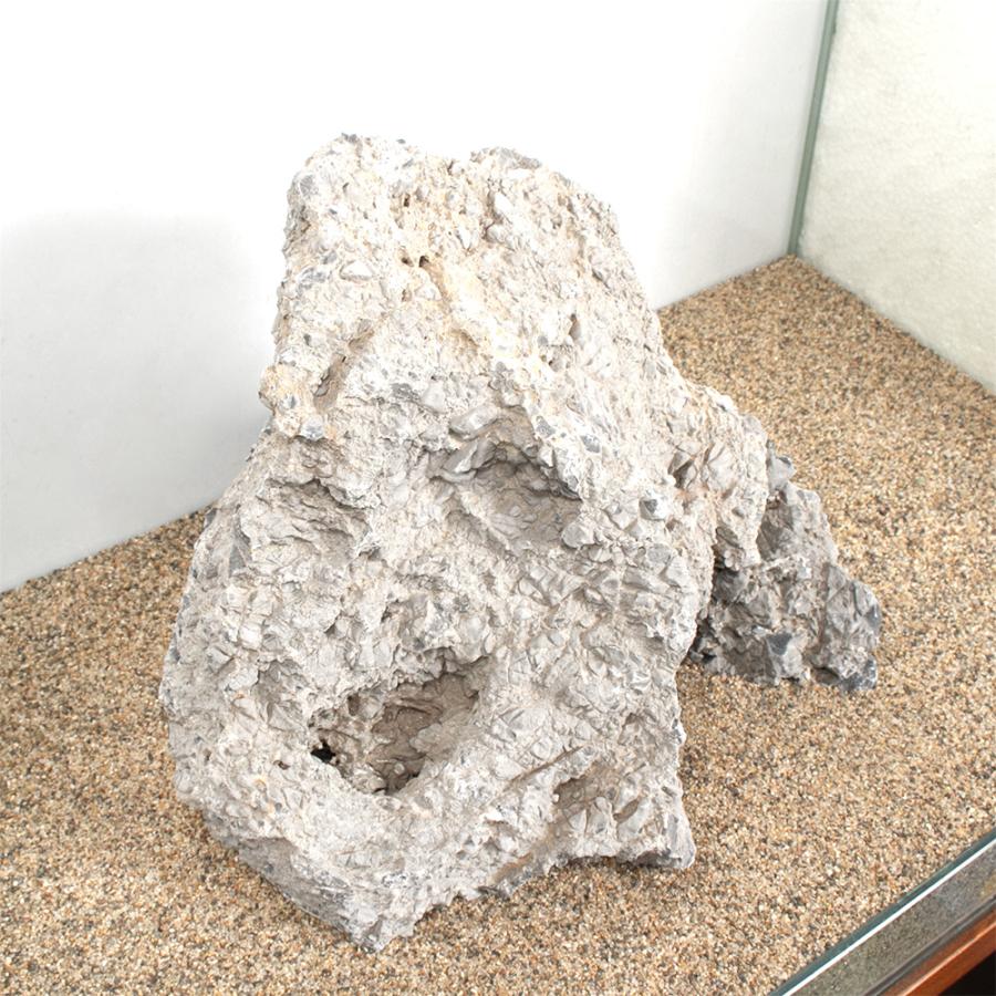 一点物 裂渓石 親石 60cm水槽用 880256 : チャーム charm