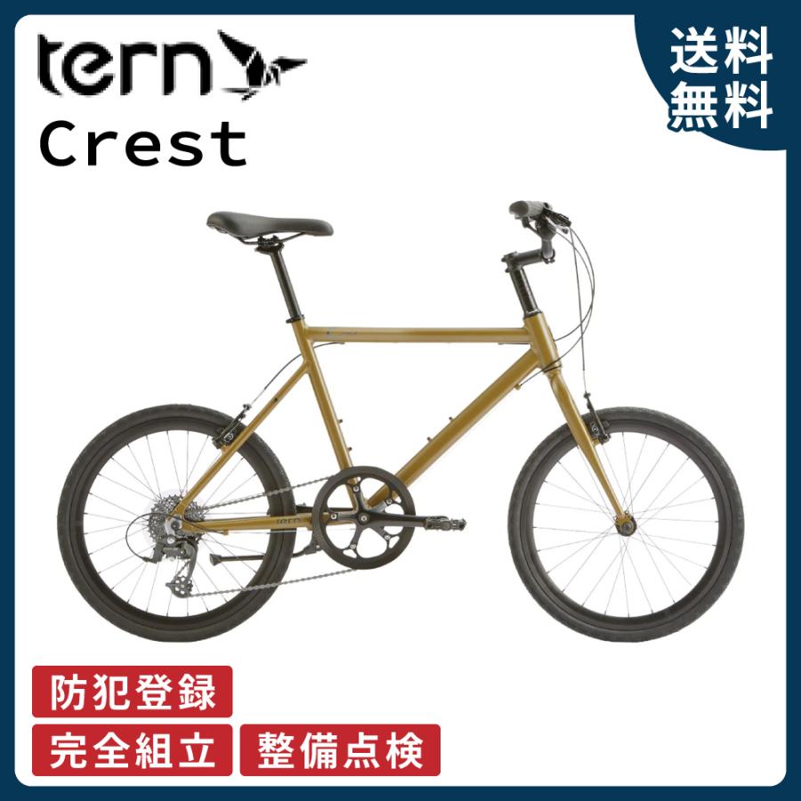 DAHON（ダホン） 【ポイント10倍】自転車 ミニベロ tern ターン 2024年
