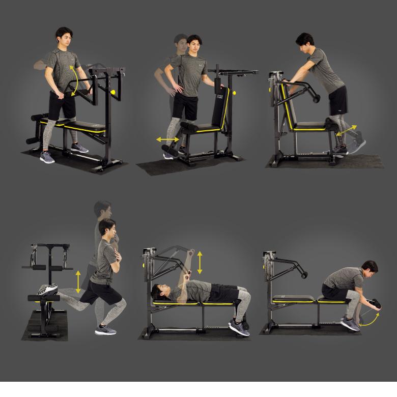 ALINCO（アルインコ） マルチワークアウトジム FAG2022 フィットネス