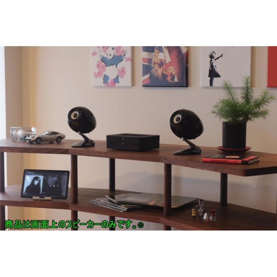 デンソーテン ECLIPSE(イクリプス) TD307MK3 ブラック Pair（ペア