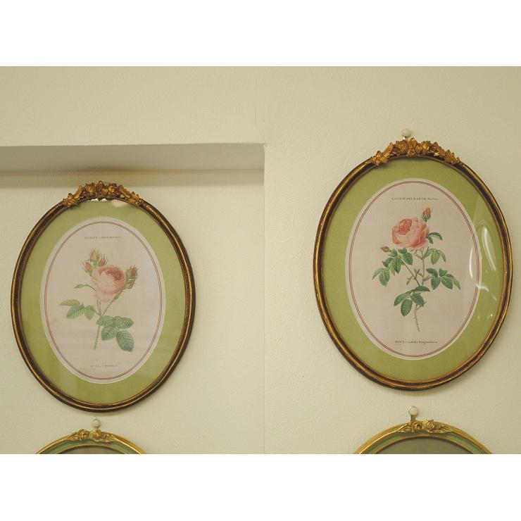 ルドゥーテ 薔薇の額絵 壁掛け 額縁 可愛い アンティーク風 バラ額