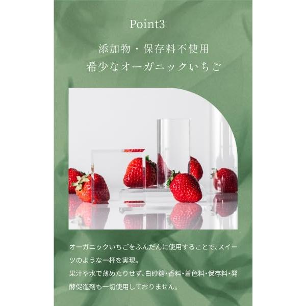 Natural FLORA ナチュラルフローラ 酵素ドリンク 無添加 植物発酵