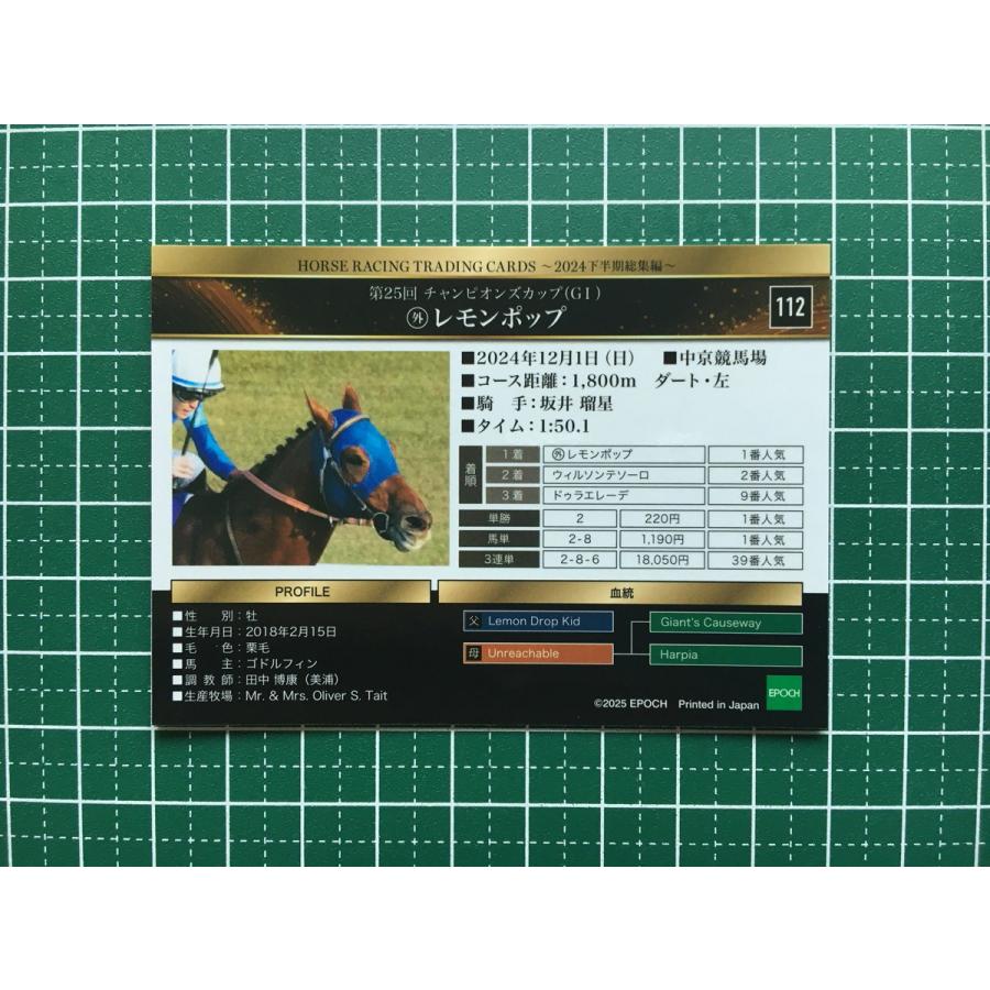 ☆EPOCH 2025 競馬 JRA ホースレーシング 2024 下半期総集編 #112