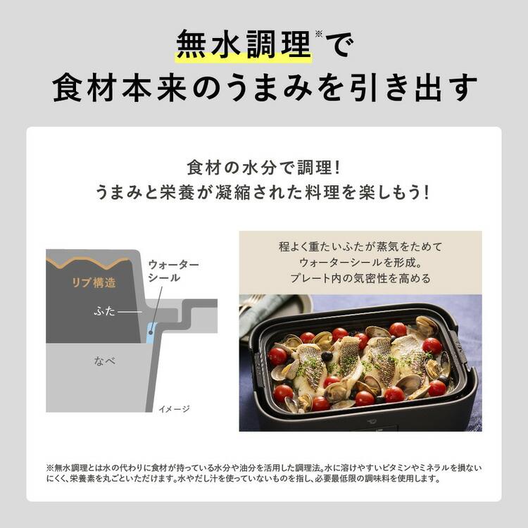 象印（ZOJIRUSHI） デイリーコンパクトプレート ブラック EJ-DE30-BA