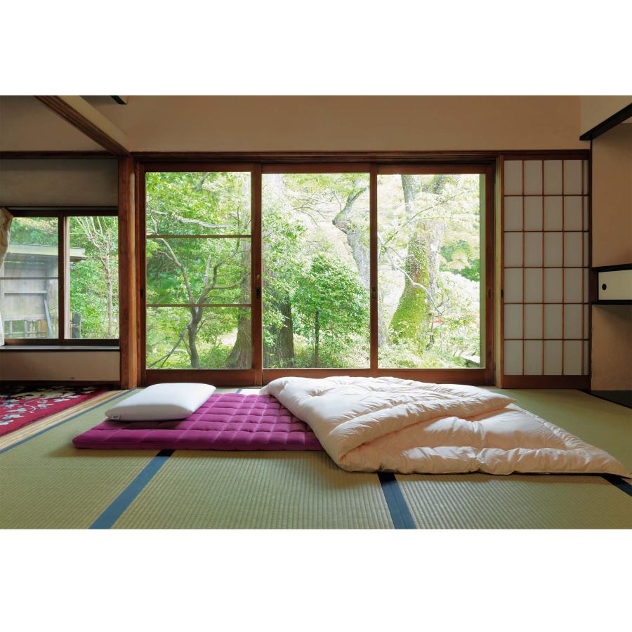 エアウィーヴ（airweave） 四季布団 和匠（わしょう） 敷き布団